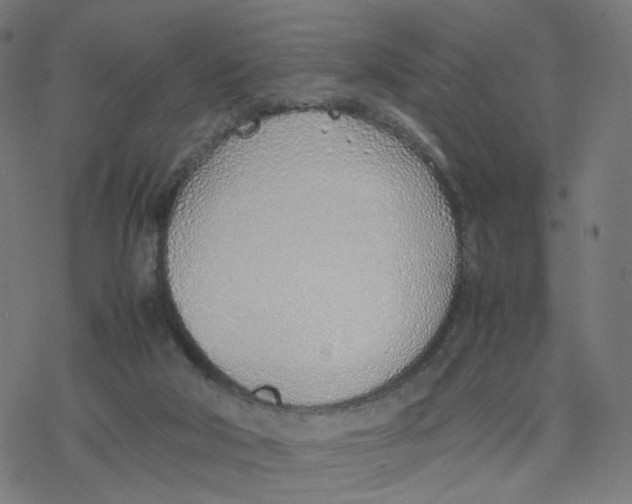 X0000077280018200611101329