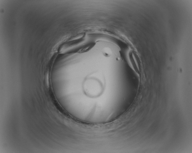 X0000077280019200611101329