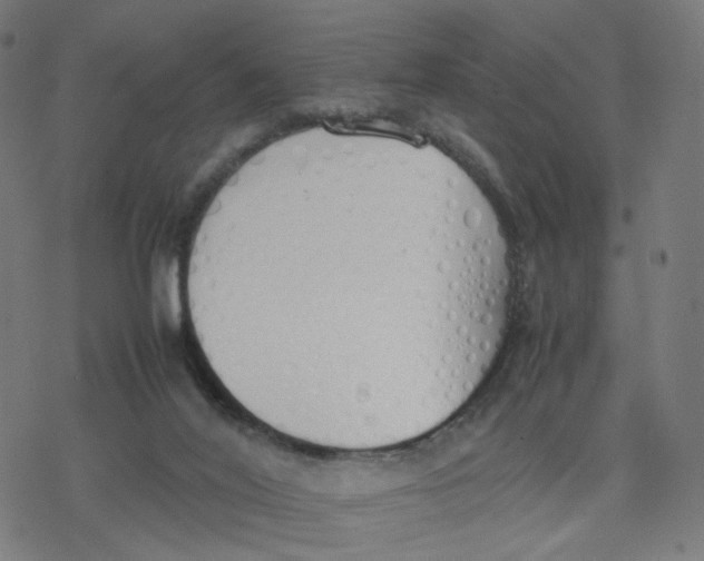 X0000077280020200611101329