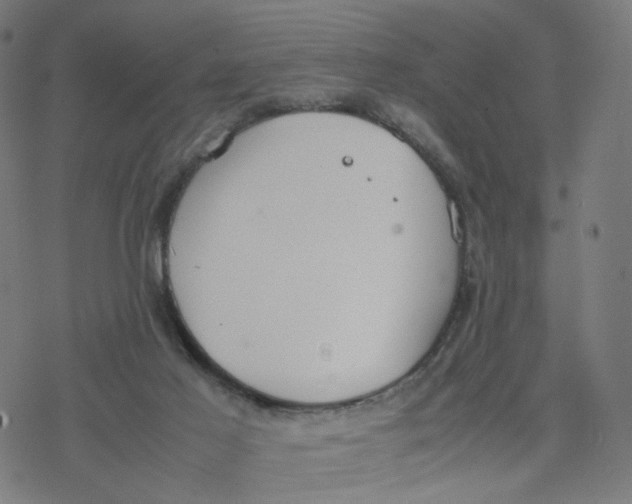 X0000077280021200611101329