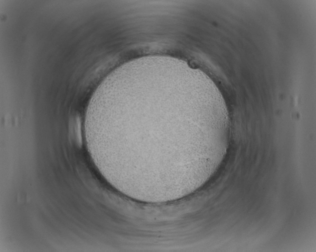 X0000077280022200611101329