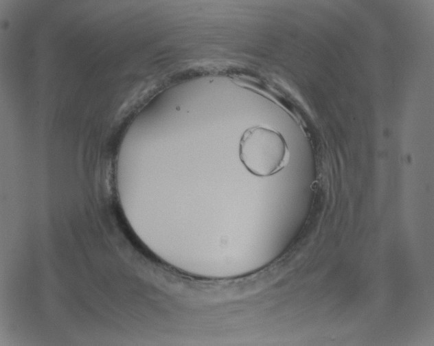 X0000077280023200611101329