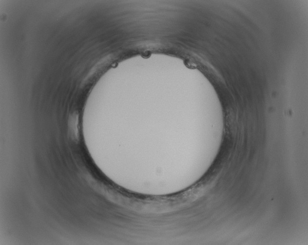 X0000077280024200611101329