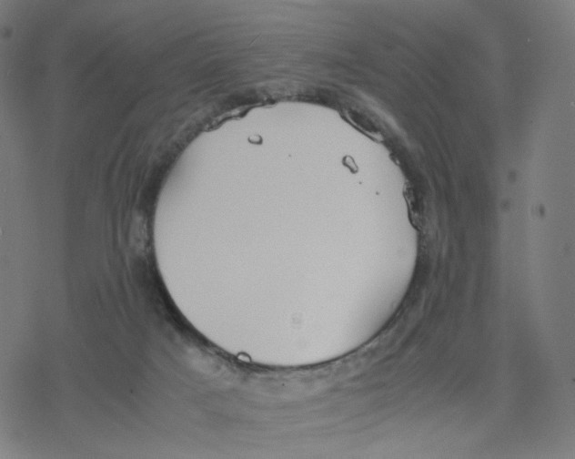 X0000077280025200611101329