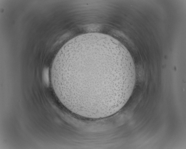 X0000077280028200611101329