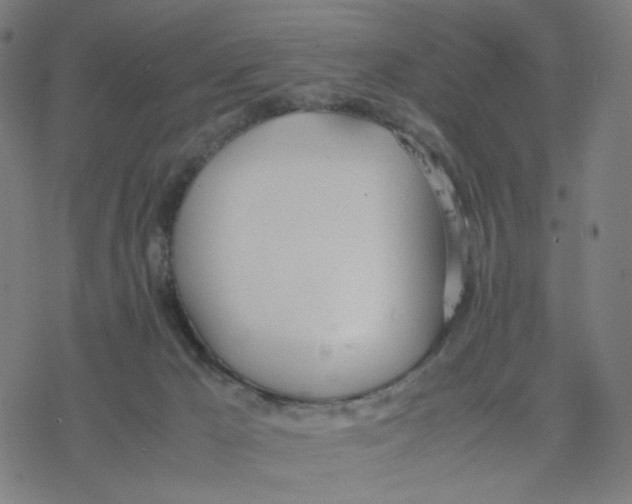 X0000077280029200611101329