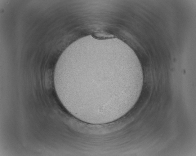 X0000077280030200611101329