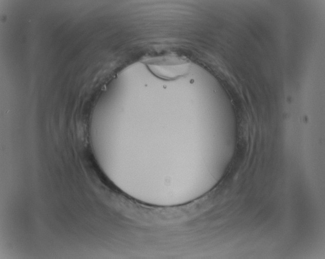 X0000077280031200611101329