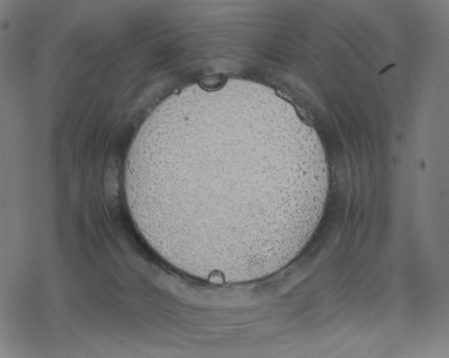 X0000077280032200611101329