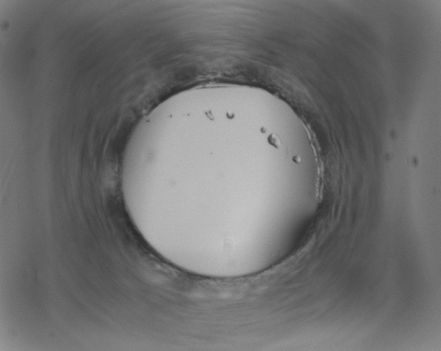 X0000077280033200611101329