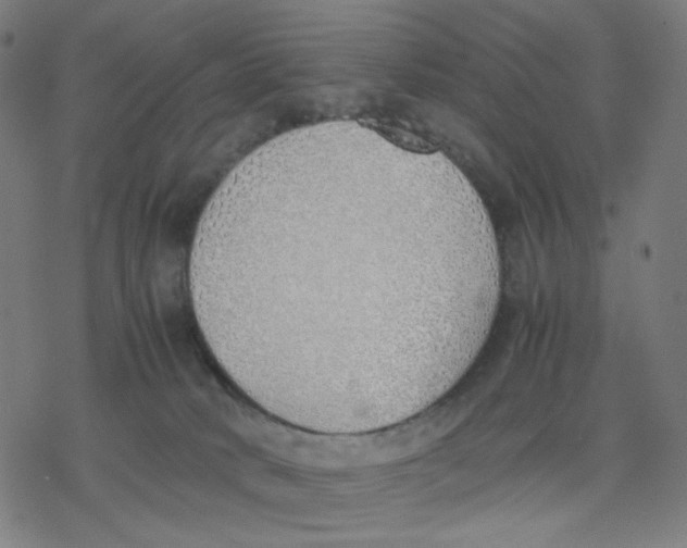 X0000077280034200611101329