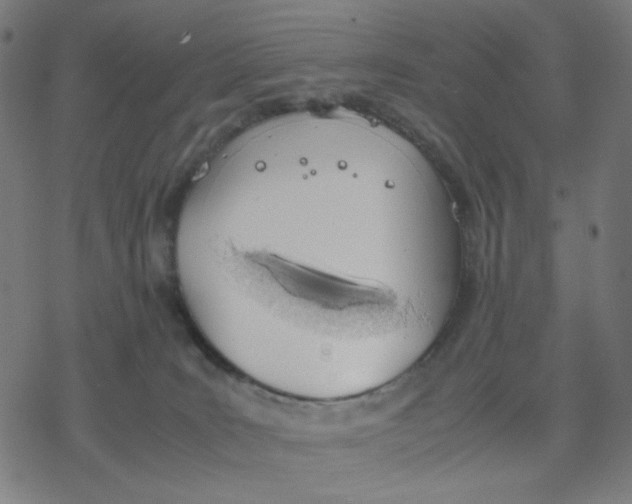 X0000077280035200611101329