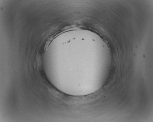 X0000077280037200611101329