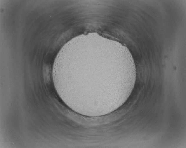 X0000077280038200611101329