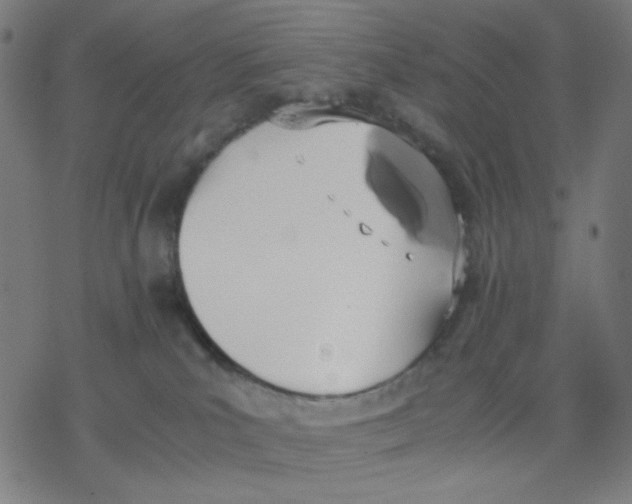 X0000077280039200611101329