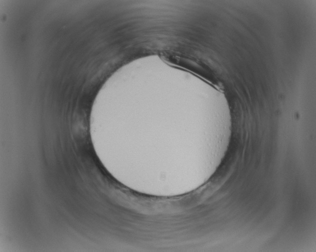 X0000077280040200611101329