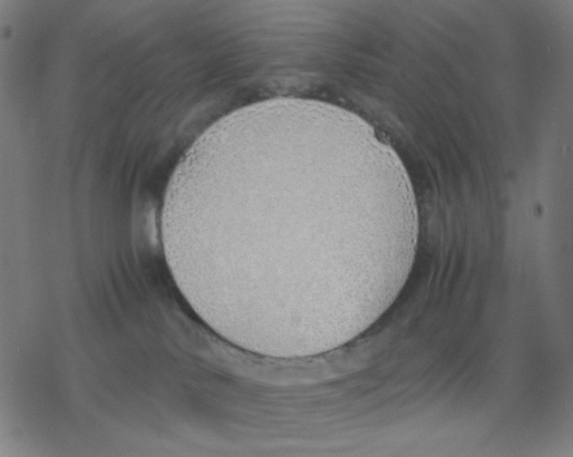 X0000077280042200611101329