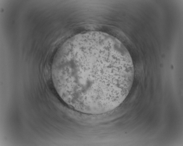 X0000077280043200611101329