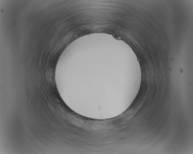 X0000077280044200611101329