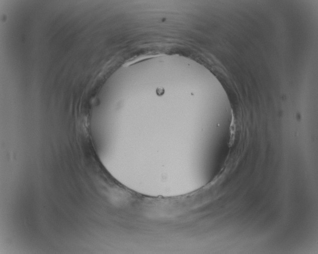 X0000077280045200611101329