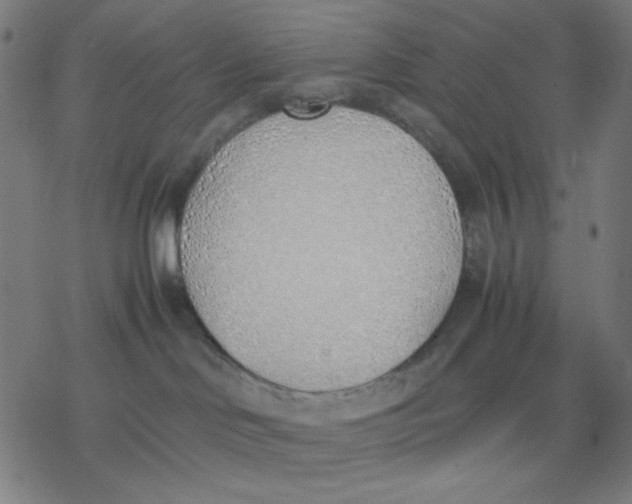 X0000077280046200611101329