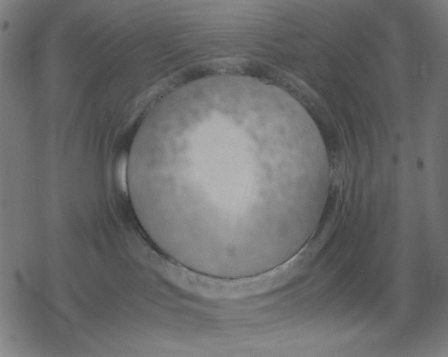 X0000077280047200611101329