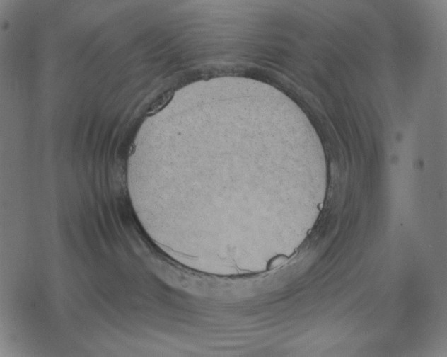 X0000077280048200611101329