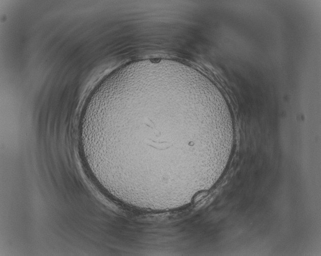 X0000077280049200611101328