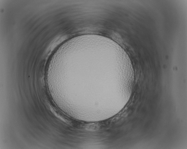 X0000077280050200611101328