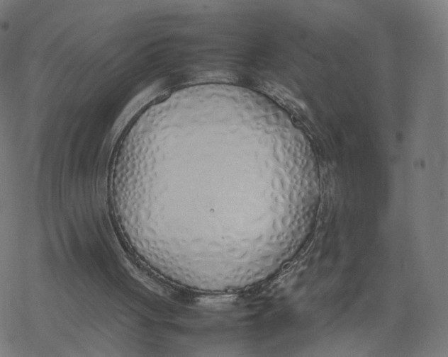 X0000077280051200611101328