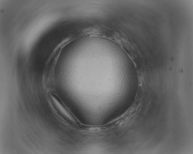 X0000077280052200611101328