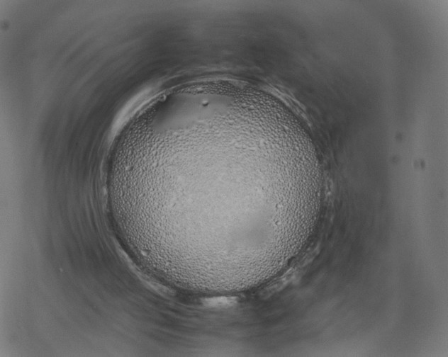 X0000077280053200611101328