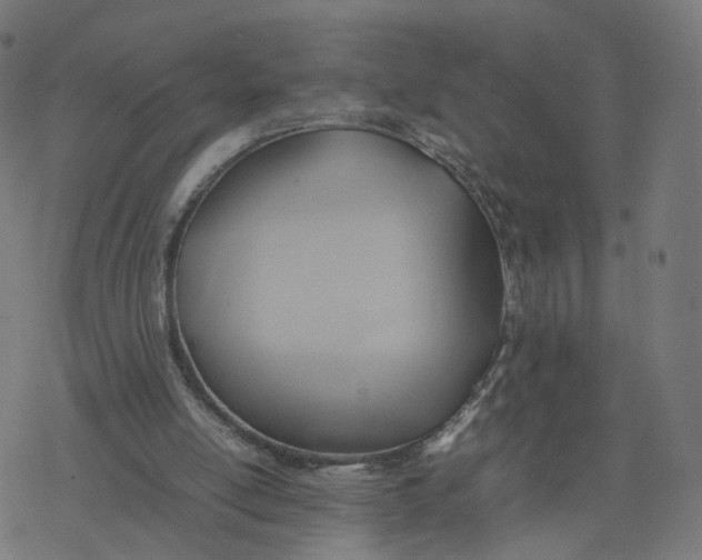 X0000077280054200611101328