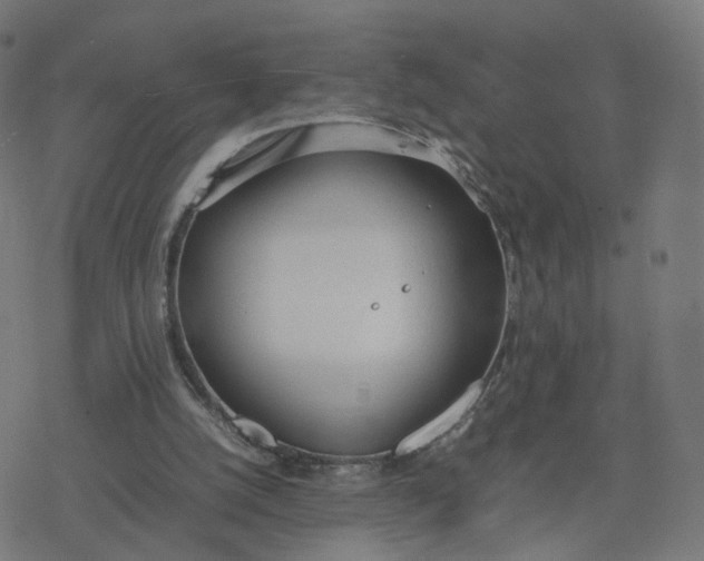 X0000077280056200611101328