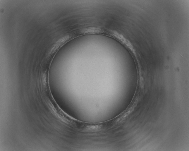 X0000077280057200611101328