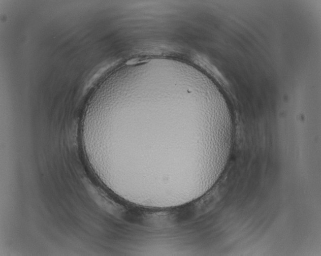 X0000077280058200611101328