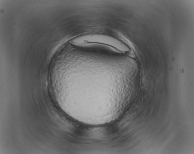 X0000077280059200611101328