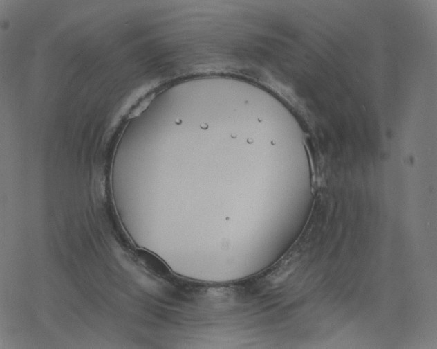 X0000077280060200611101328