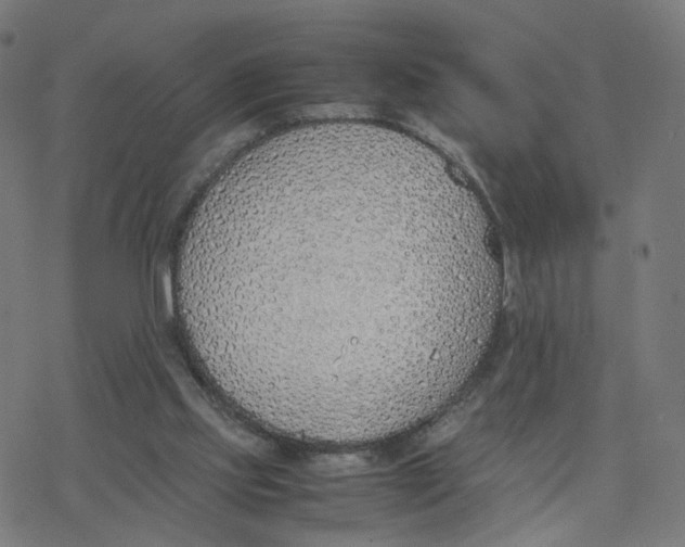 X0000077280061200611101328