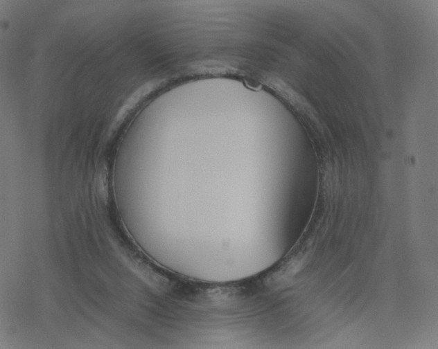 X0000077280064200611101328