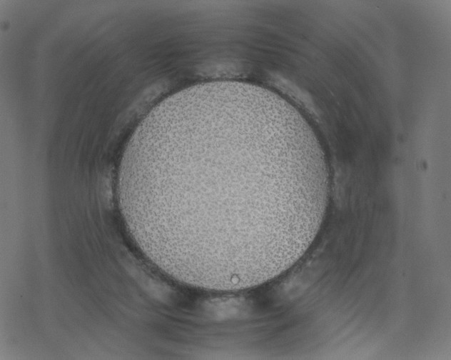 X0000077280065200611101328