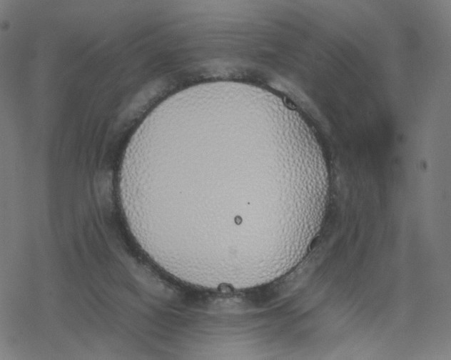 X0000077280066200611101328