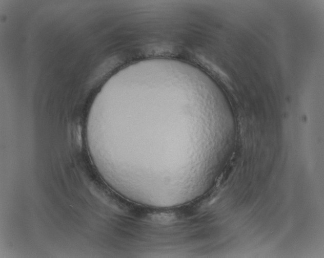 X0000077280067200611101328