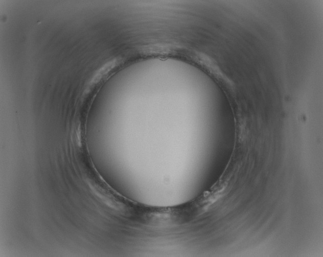 X0000077280068200611101328