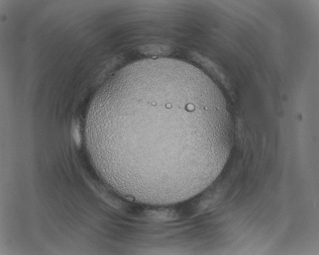 X0000077280069200611101328