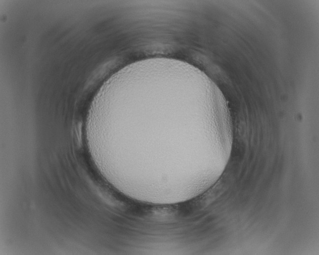 X0000077280070200611101328