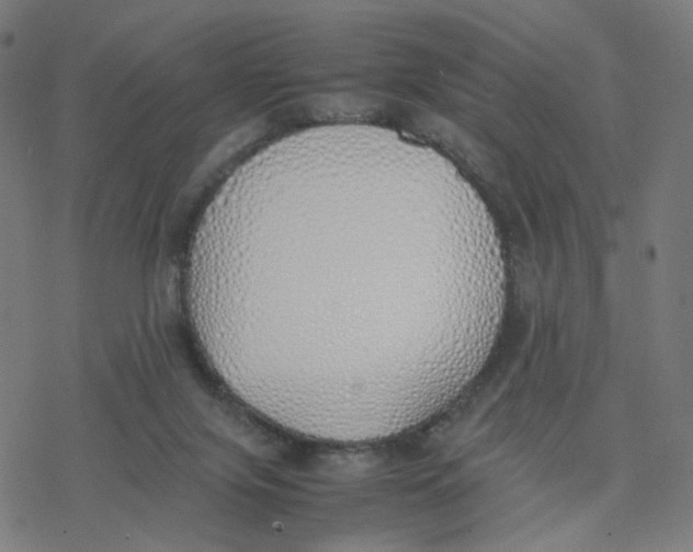 X0000077280071200611101328