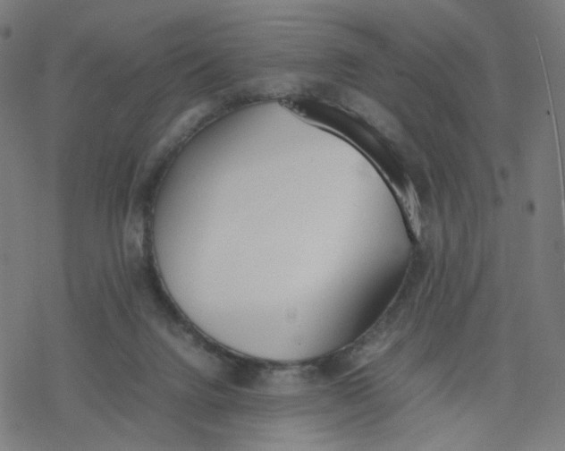 X0000077280072200611101328