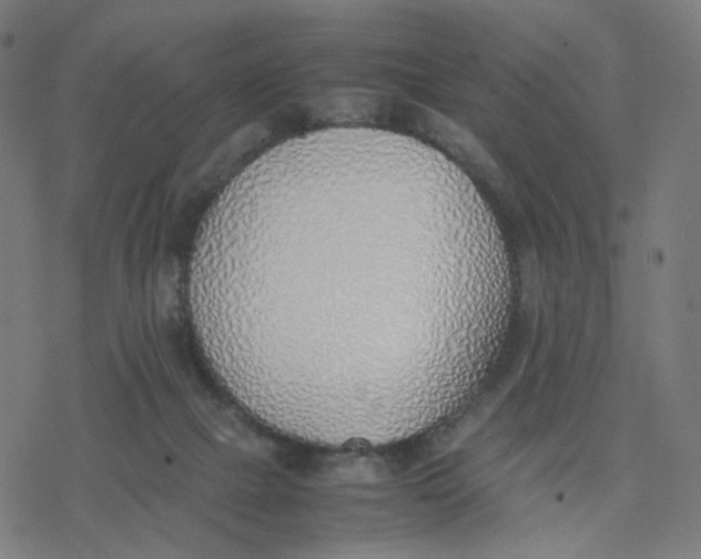 X0000077280073200611101328