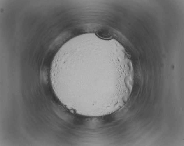 X0000077280074200611101328